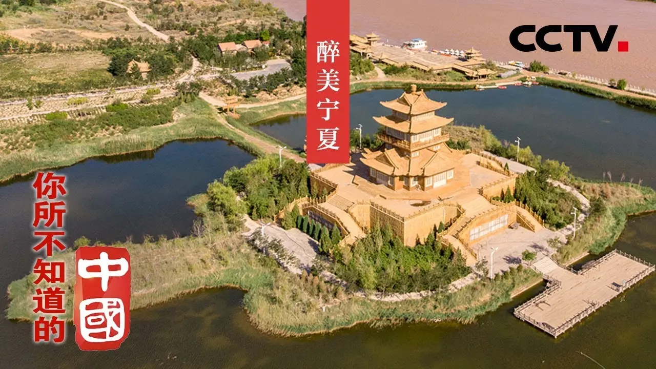 《塞上江南》：一部展现西北风情的诗意电影