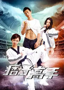 痞子高手：街头英雄的惊险与成长之旅