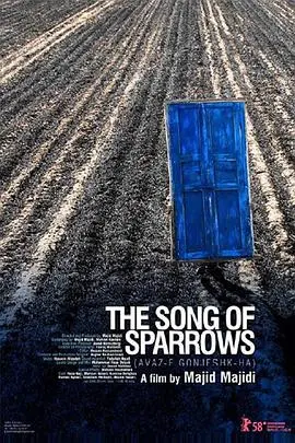 《麻雀之歌》：伊朗式残酷青春物语，底层儿童的生存挣扎与希望之光